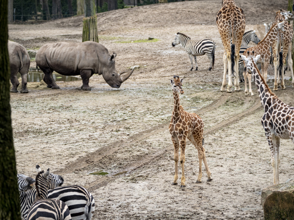 b8927a15-45a7-4218-a1c0-4ea8c6f25735