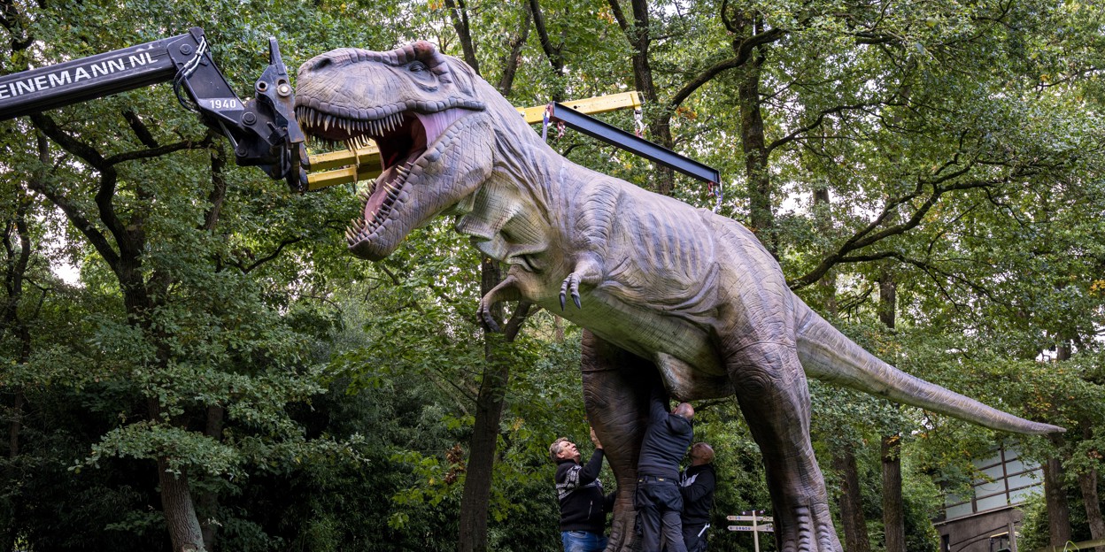 Burgers' Zoo stellt vier meter hohen dinosaurier auf