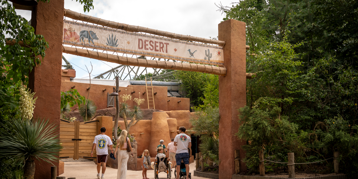 Burgers' Zoo eröffnet Ökodisplay Desert nach umfangreichem Umbau 