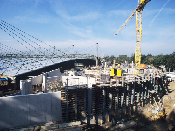 Europas größtes natürliches Korallenriff (2000)