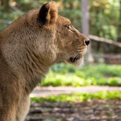 Bedrohung und Schutz