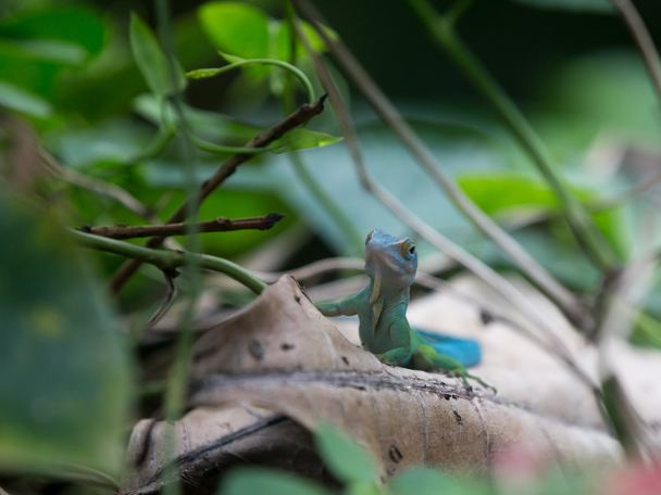 Besonderes Verhalten