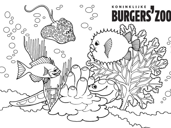 3ae39f72-a0e6-4cbd-ab2f-abf7b4a00d7c