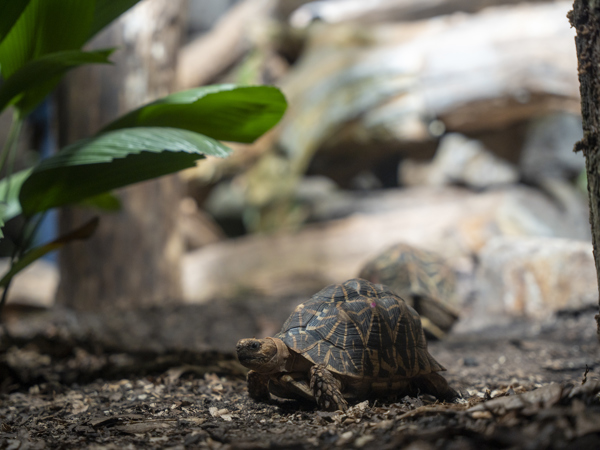 b195bbc1-57c3-4b86-a872-e854740caaea