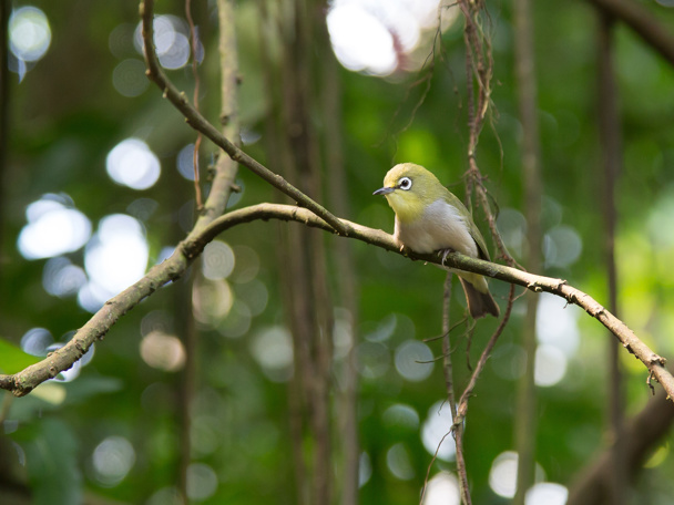 Ein nachhaltiges Ökosystem