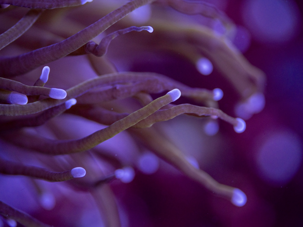 c3f583d9-b9c9-4498-9cfd-d47de0d35f4a