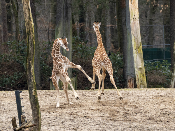 1f4e1ef8-58d1-48e4-8b62-cd14cc1f1e3c