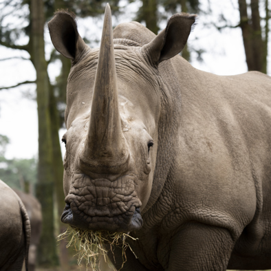 Bedrohung und Schutz