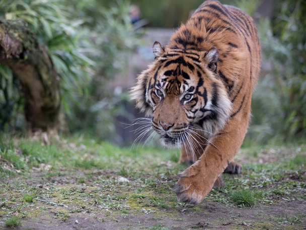 Besonderes Verhalten