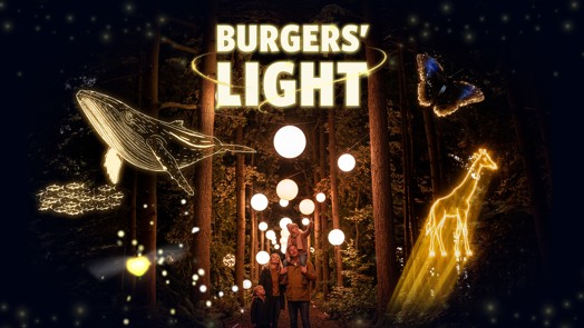 Abenteuerlustiges glühwürmchen lädt zu spektakulärer lichtshow im Burgers’ Zoo ein