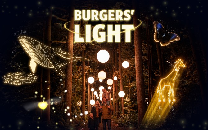 Abenteuerlustiges glühwürmchen lädt zu spektakulärer lichtshow im Burgers’ Zoo ein