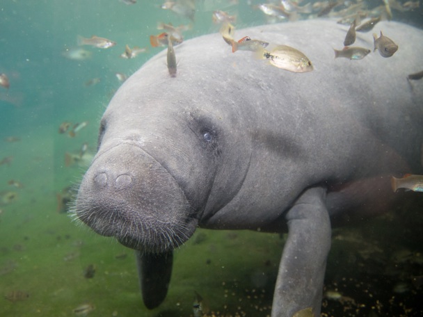 Besonderes Verhalten