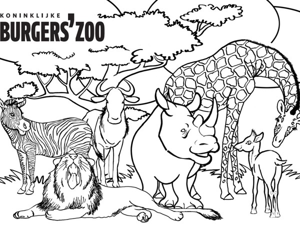 b3fc2df3-392d-4926-81e4-b40524c428d4