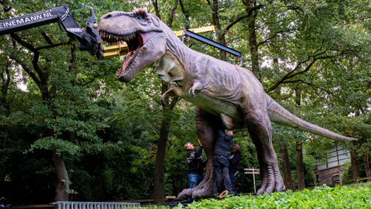 Burgers' Zoo stellt vier meter hohen dinosaurier auf