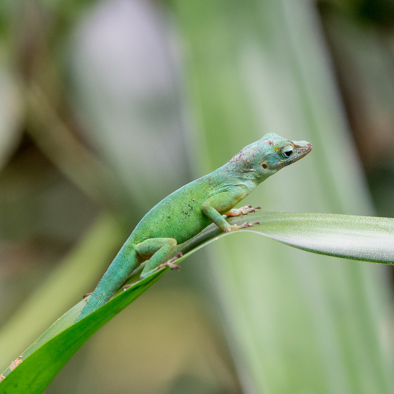 Bedrohung und Schutz