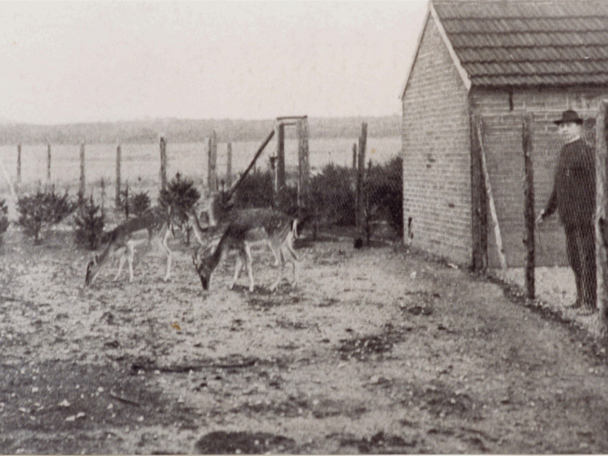 Wie 1913 alles begann