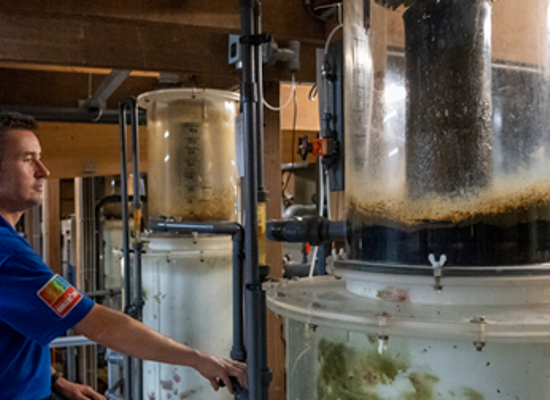 Ein Blick hinter die Kulissen von Burgers’ Ocean