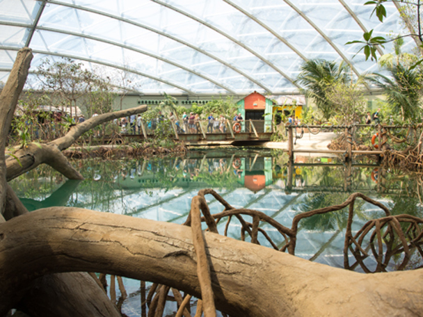 Ein Stück Belize in den Niederlanden (2017)