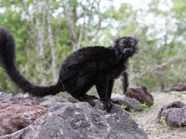 Eine reiche Geschichte